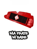 Filtro aria sportivo sh/forza/adv 350 AY